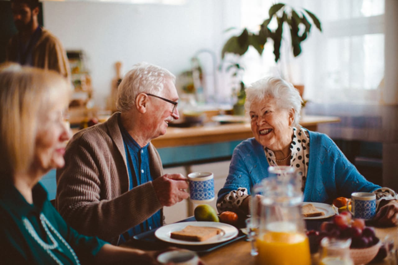 senior-living-budget-template