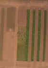 Rem koolhaas see countryside vicemedia 05