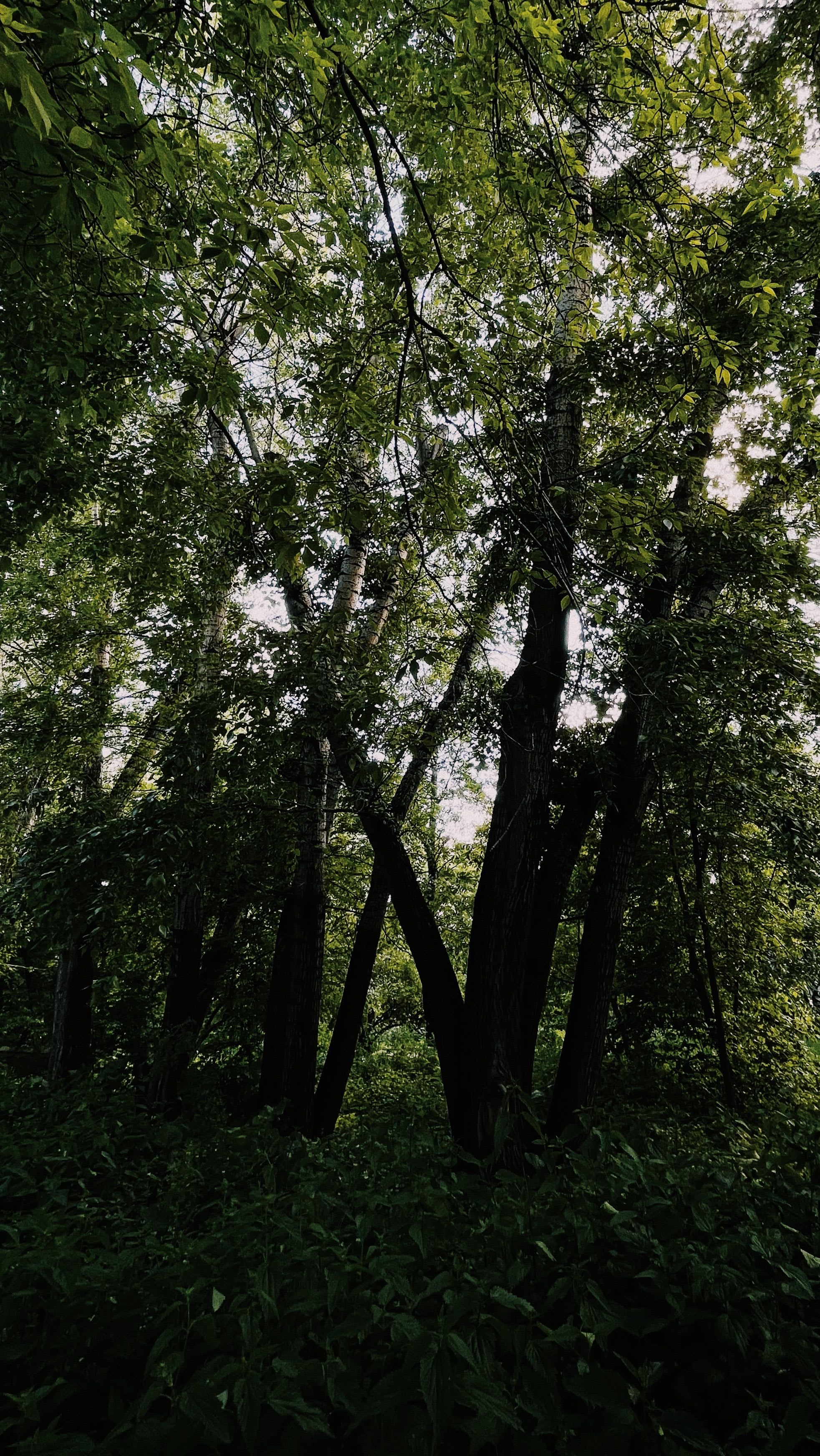 Photoghaphy