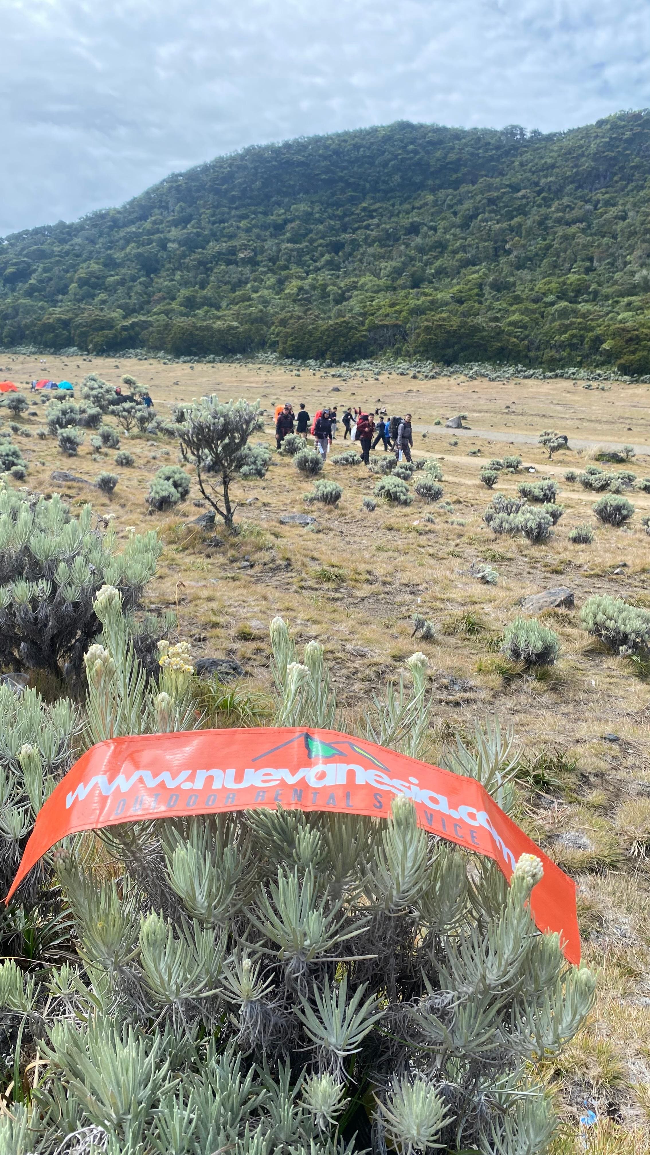 Agustus 2026, Gunung Gede Pangrango Terbakar: Kronologi, Kondisi Terbaru, dan Sampai Kapan Jalur Pendakian Ditutup?
