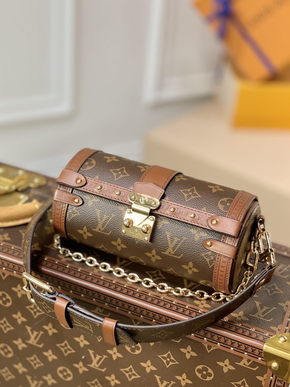 Papillon Trunk Monogram Coated Canvas Shoulder Bag