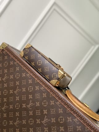 Trunk Handbag 4