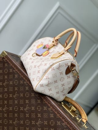 Speedy Bandoulière 25 Crafty Monogram Dune Top Handle Bag 3