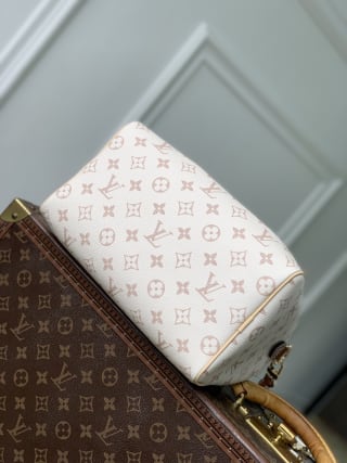 Speedy Bandoulière 25 Crafty Monogram Dune Top Handle Bag 4