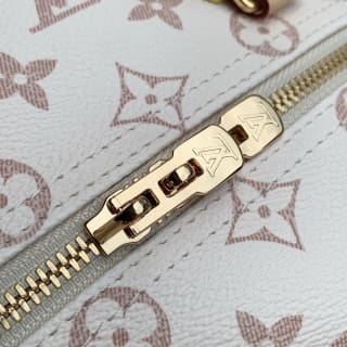 Speedy Bandoulière 25 Crafty Monogram Dune Top Handle Bag 7
