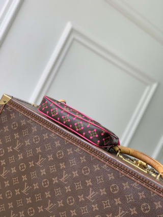 Pochette Accessoires Monogram Perfo Coated Shoulder Bag 4
