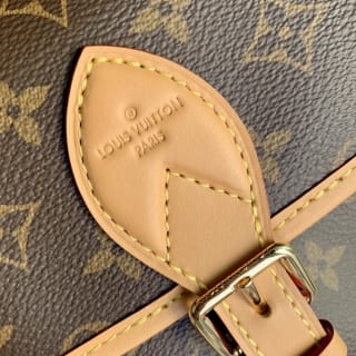 Diane PM Monogram Coated Canvas Shoulder Bag 6