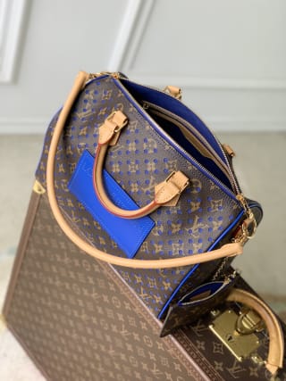 Speedy Soft 30 Monogram Perfo Coated Top Handle Bag 5