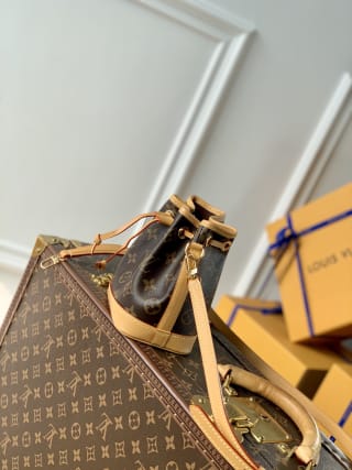 Nano Noé Monogram Canvas Bag 3