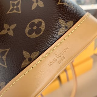 Nano Noé Monogram Canvas Bag 9