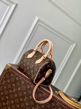 Speedy Bandoulière 20 Monogram Coated Canvas Top Handle Bag 3