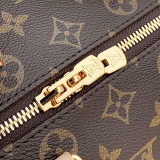 Speedy Bandoulière 20 Monogram Coated Canvas Top Handle Bag 6
