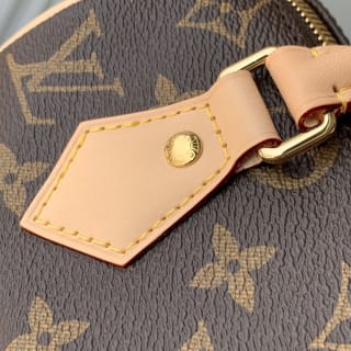 Speedy Bandoulière 20 Monogram Coated Canvas Top Handle Bag 8