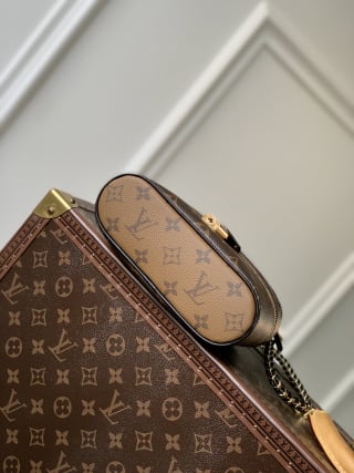 Vanity Chain Pouch Bag 4
