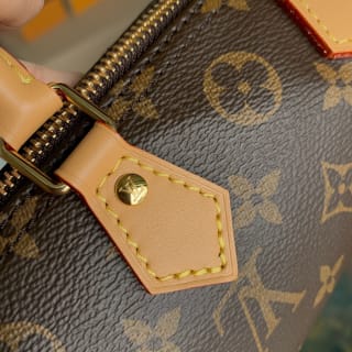 Nano Speedy Monogram Canvas Handbag 7