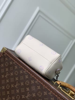 Speedy Bandoulière 20 Monogram Empreinte Gradient Top Handle Bag 4