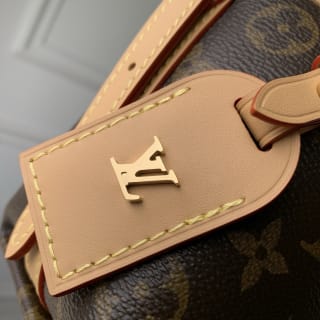 Nano CarryAll Monogram Coated Canvas Crossbody Bag 6