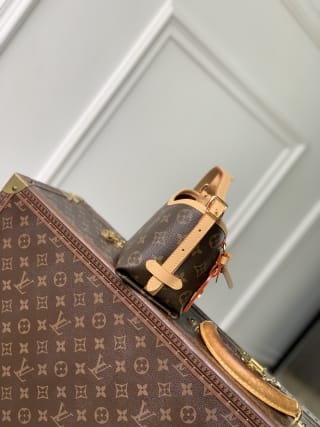 Nano CarryAll Monogram Coated Canvas Crossbody Bag 3
