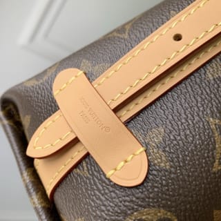 Nano CarryAll Monogram Coated Canvas Crossbody Bag 7