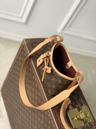 Nano CarryAll Monogram Coated Canvas Crossbody Bag 5