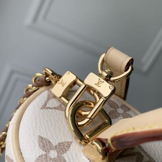 Vanity Chain Pouch Monogram Dune Crafty 6