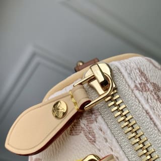 Nano Speedy Handbag Monogram Dune Crafty 6