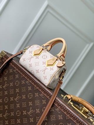 Nano Speedy Handbag Monogram Dune Crafty 2
