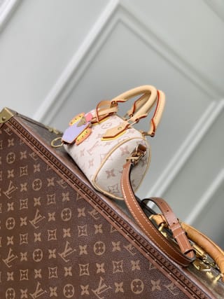 Nano Speedy Handbag Monogram Dune Crafty 3