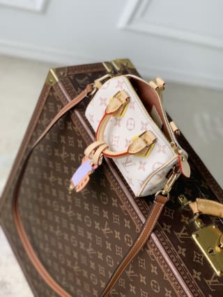 Nano Speedy Handbag Monogram Dune Crafty 5