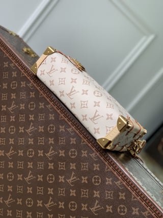 Side Trunk MM Handbag Monogram Dune Crafty 4