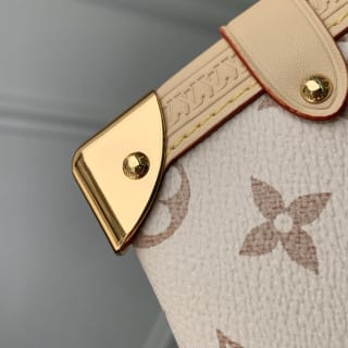 Side Trunk MM Handbag Monogram Dune Crafty 6