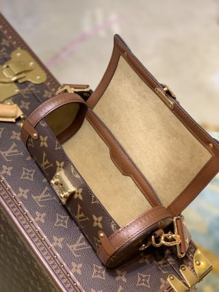 Papillon Trunk Monogram Coated Canvas Shoulder Bag 5