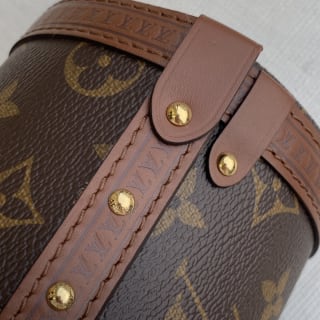 Papillon Trunk Monogram Coated Canvas Shoulder Bag 7