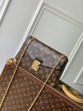 Trunkie Monogram Coated Canvas Chain Bag 1