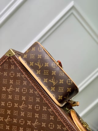 Diane PM Monogram Coated Canvas Shoulder Bag 4
