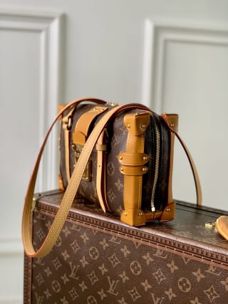 Malle De Jour Monogram Coated Canvas Shoulder Bag 3