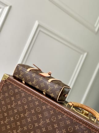 Hang On Monogram Coated Canvas Top Handle Bag 4