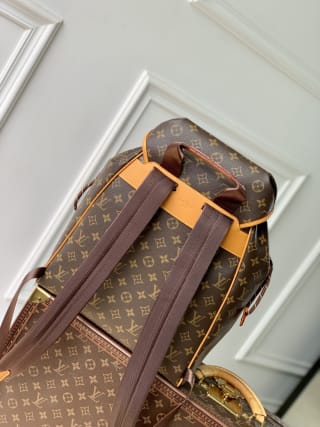 Montsouris Cargo Monogram Canvas Backpack 2