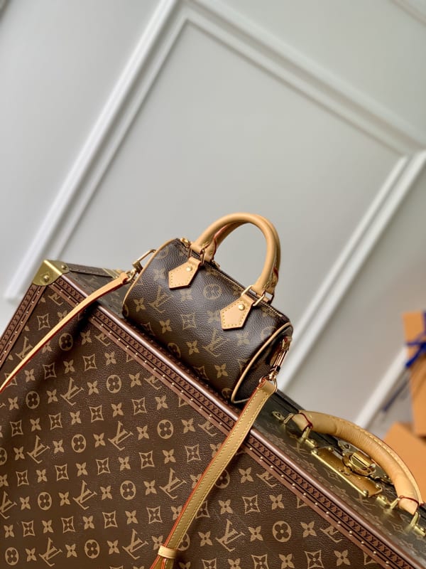 Louis Vuitton Nano Speedy Monogram Canvas Handbag