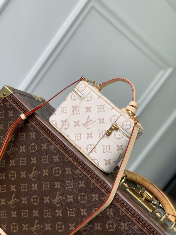 Louis Vuitton Vanity Chain Pouch Monogram Dune Crafty