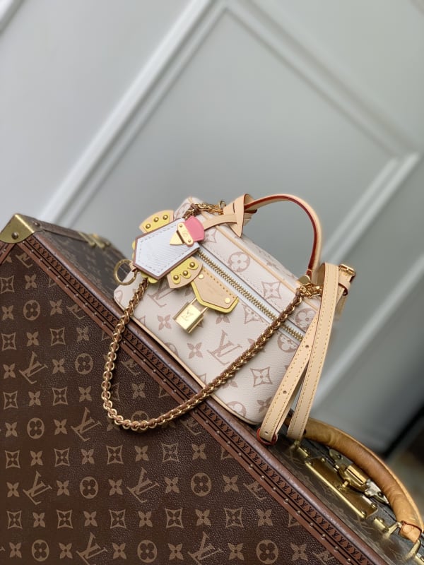 Louis Vuitton Vanity Chain Pouch Monogram Dune Crafty