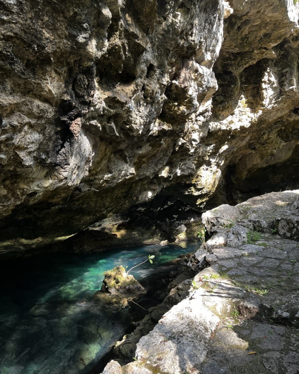 The turquoise water of a cenote in the Mayan jungle