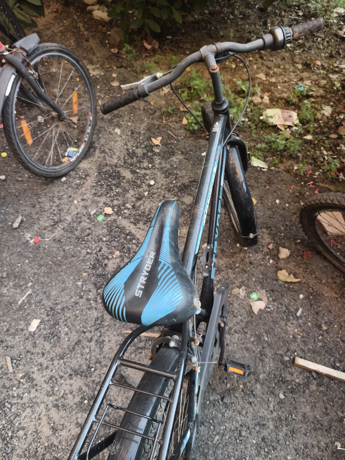 Stryder cycle