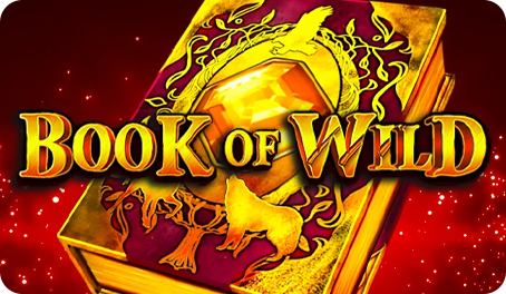 Book of Wild - 1Spin4Win