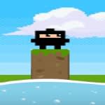 Springy Ninja