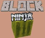 Block Ninja - Free Browser Game