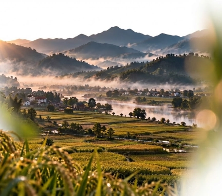 Rice paddies, waterways and mountains at sunrise