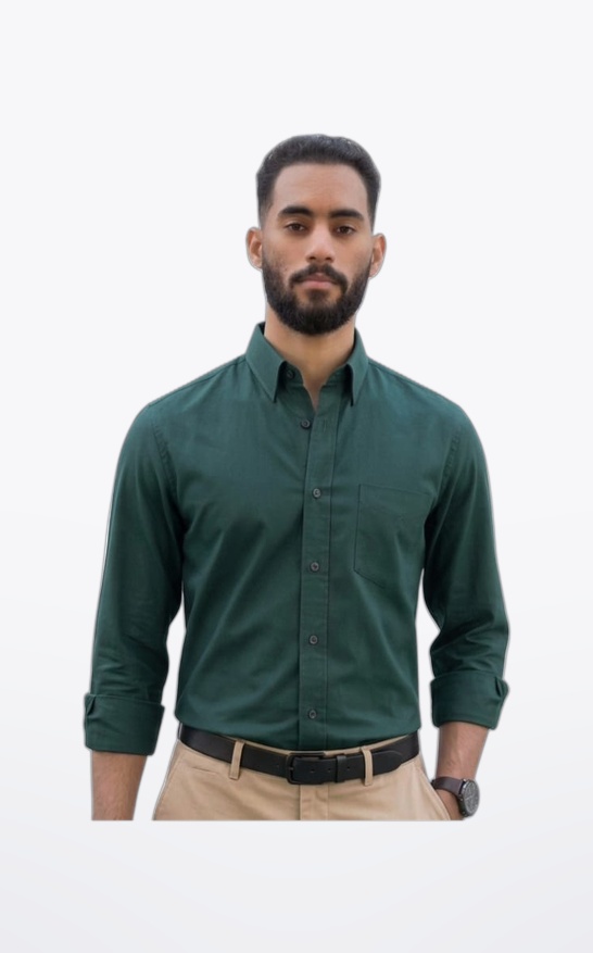 أحمد لطفي