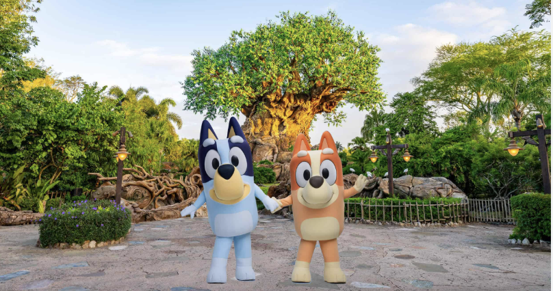 Bluey and Bingo