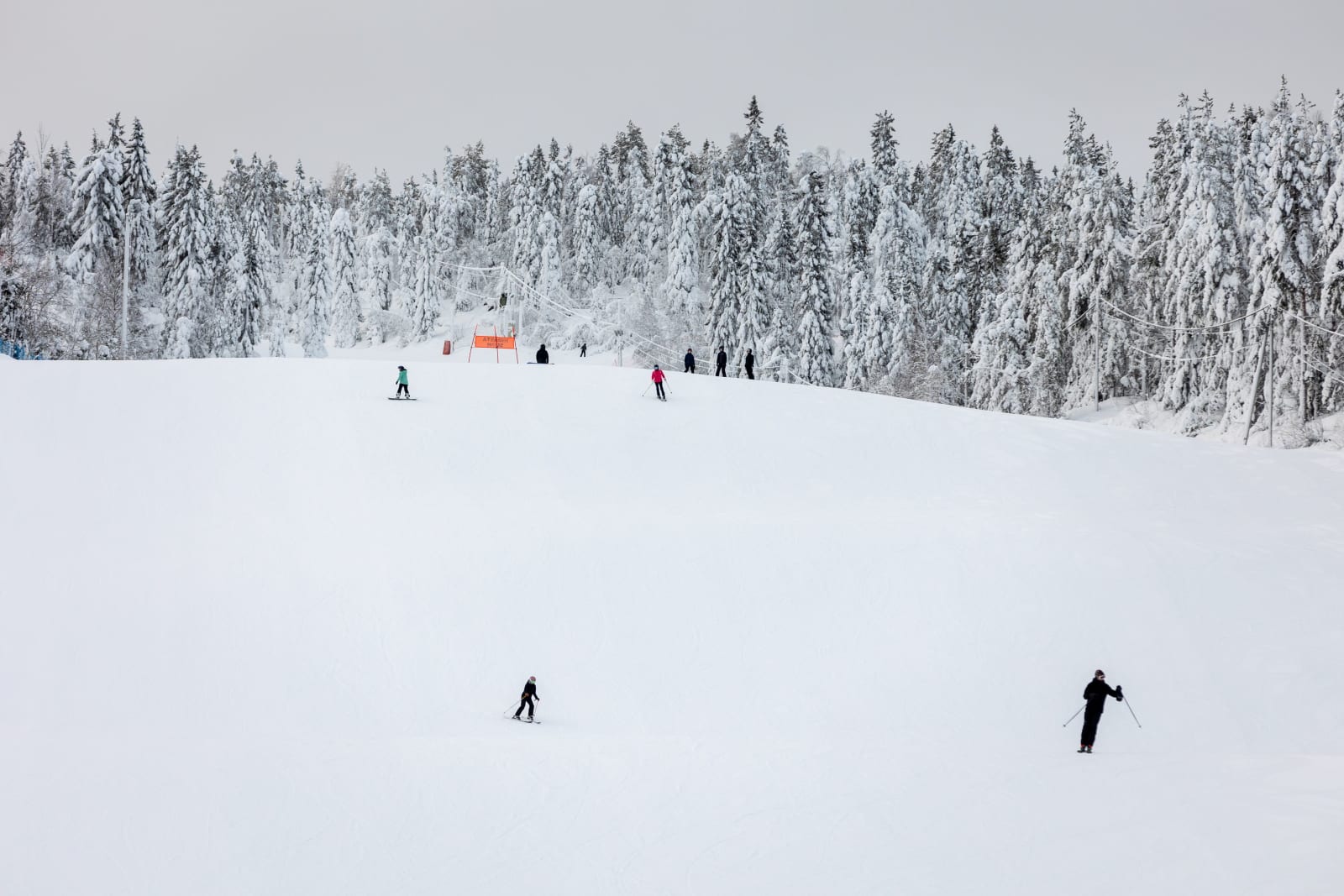 Skiers on a gentle slope through snow-laden forest at Vuokatti, Finland